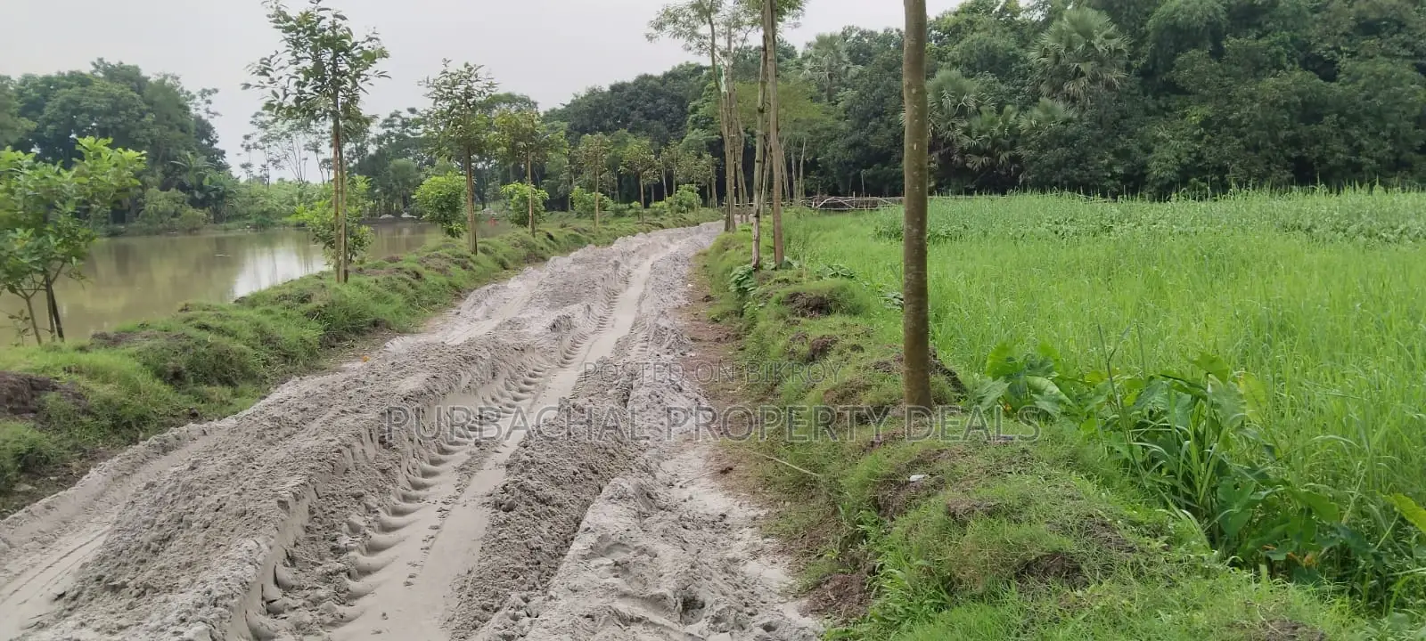 Dream Location! 26 Decimal South-Facing Lake View Land in Purbachal Sector 30 in Purbachal