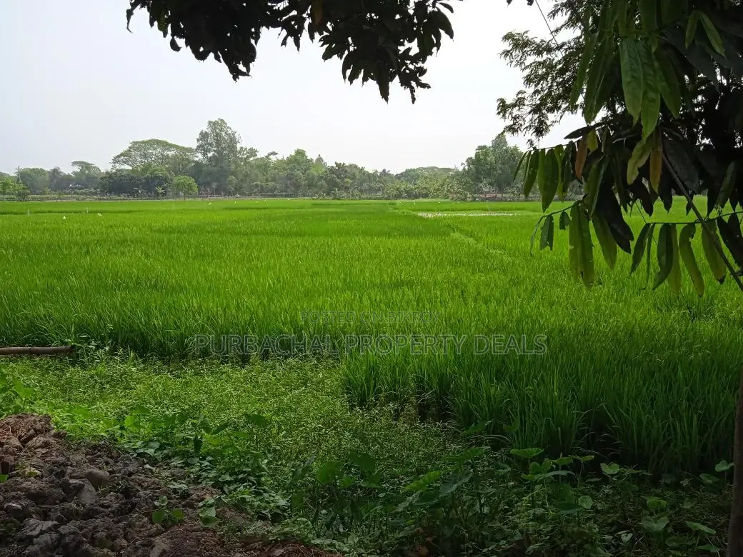 Dream Location! 26 Decimal South-Facing Lake View Land in Purbachal Sector 30 in Purbachal
