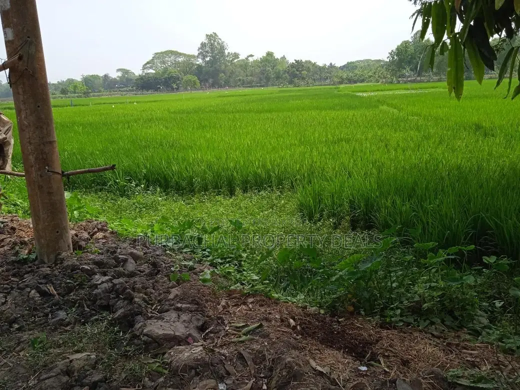 Dream Location! 26 Decimal South-Facing Lake View Land in Purbachal Sector 30 in Purbachal