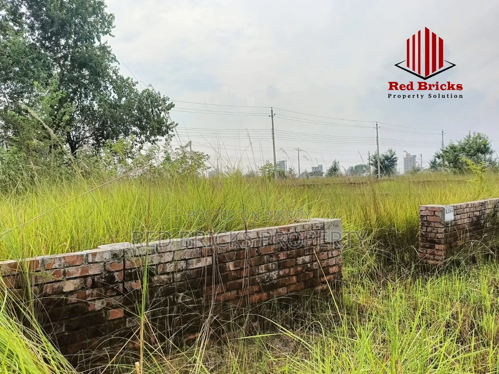 Block- N - 3- Katha Corner Plot Near Bazar Pratidin in Basundhara