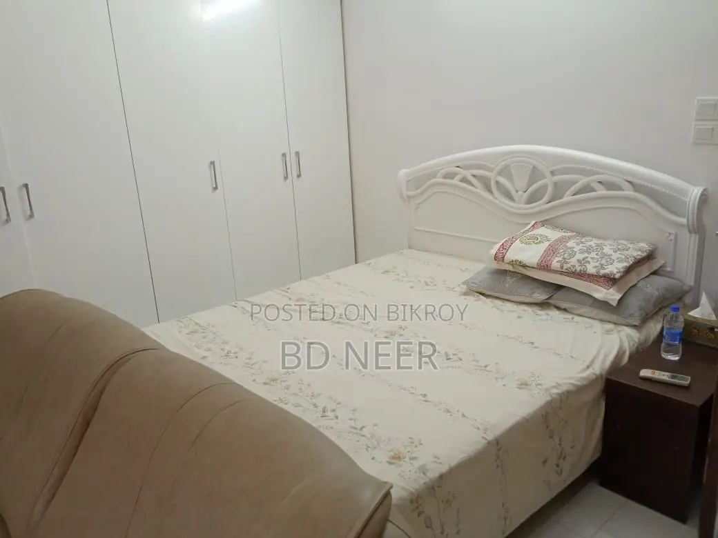 exclusive fully furnish 4 Bed room apt rent in Gulshan 2 in Gulshan