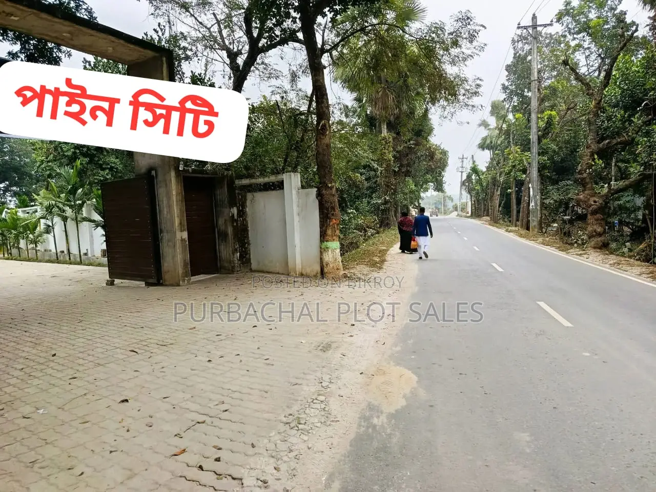 Buy a plot at Pine City after seeing visible development. in Purbachal