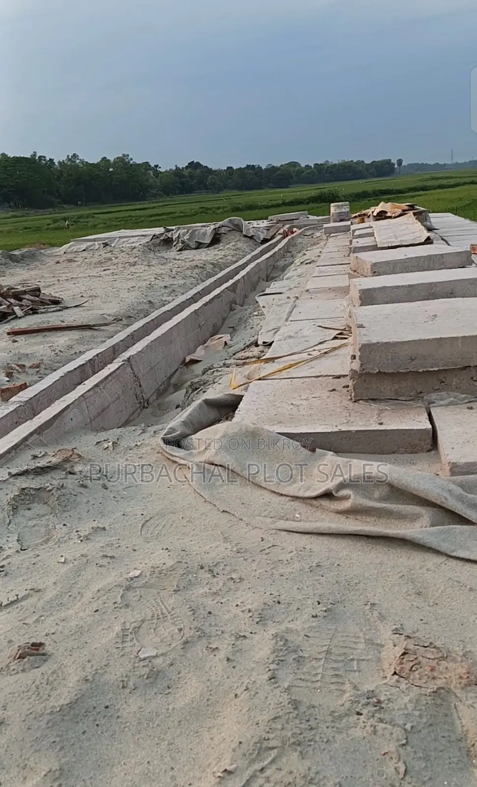 Buy a plot at Pine City after seeing visible development. in Purbachal
