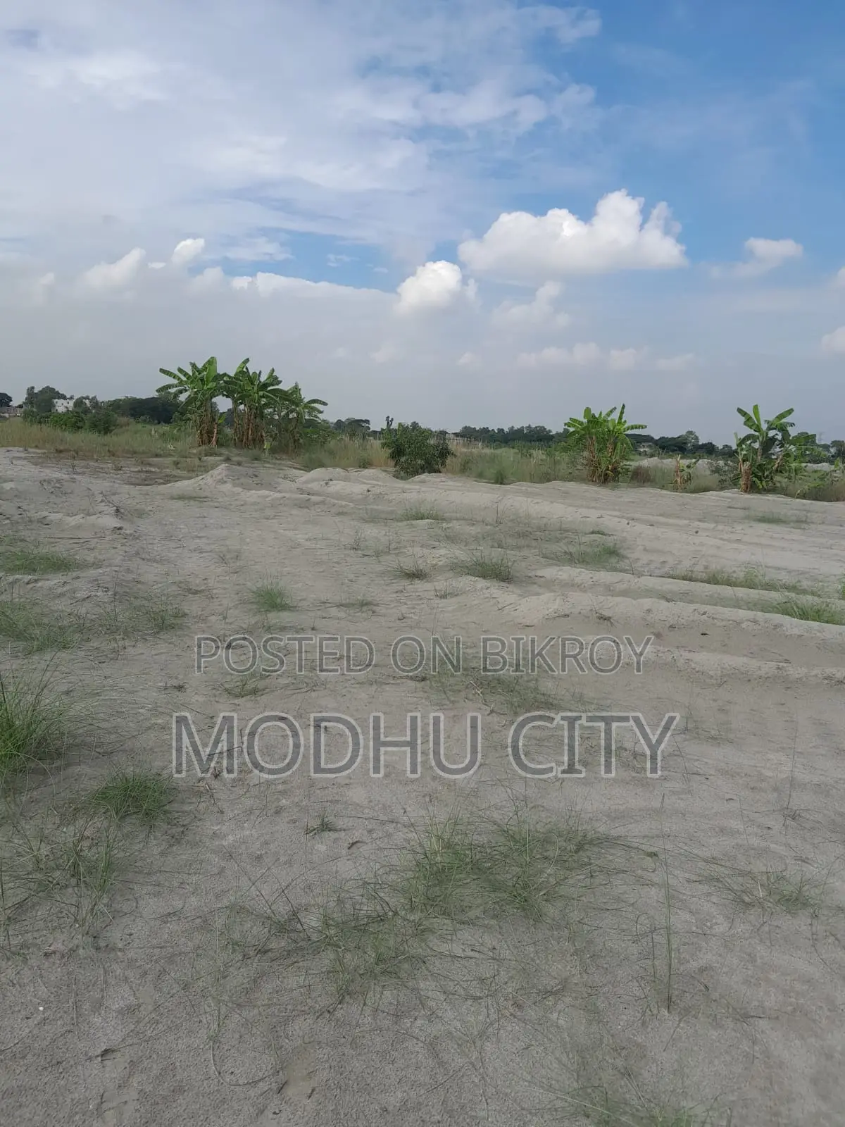 Home, Business, or Investment – Everything is Possible on One Plot! in Mohammadpur