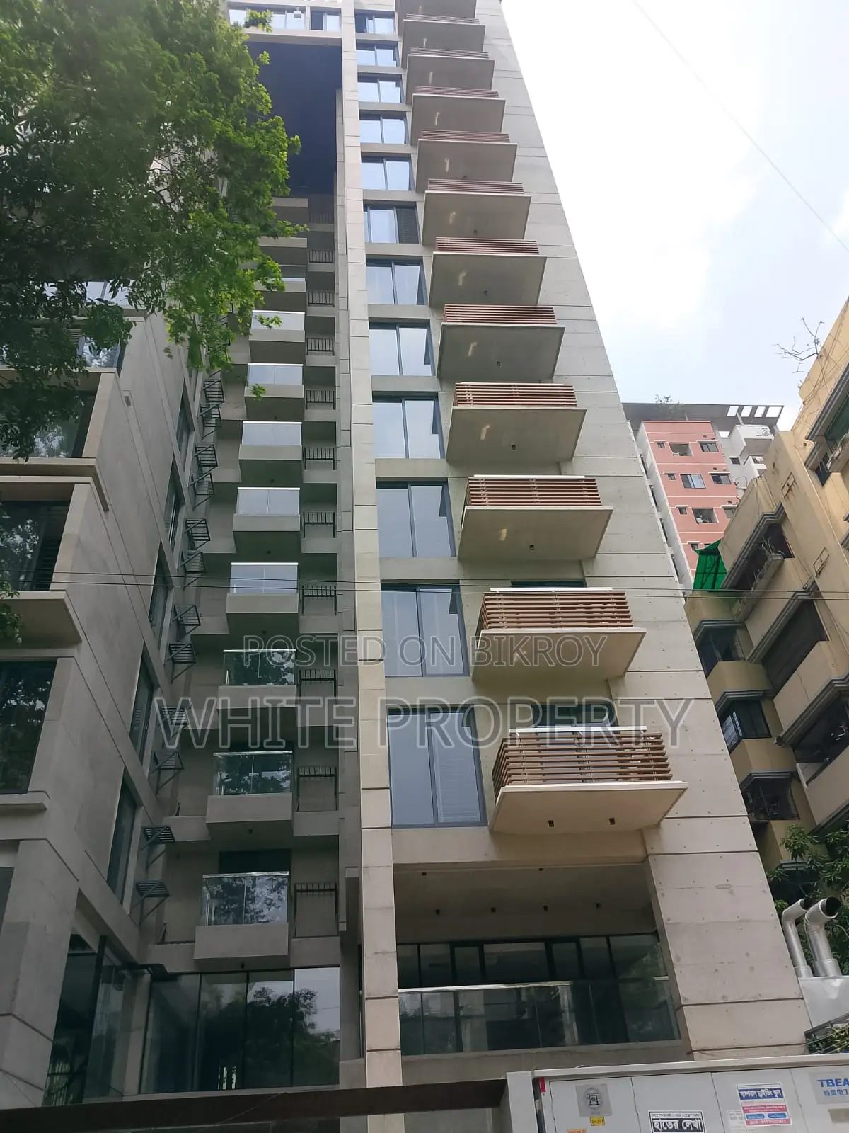 Brand New Apartment Sale at Dhanmondi 15A in Dhanmondi