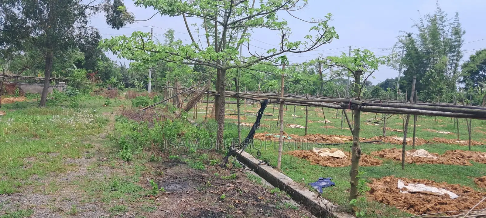 Lowest Budget 3 Katha Plot For Sale At Purbachal in Purbachal