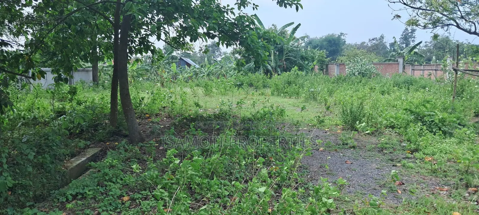 Lowest Budget 3 Katha Plot For Sale At Purbachal in Purbachal