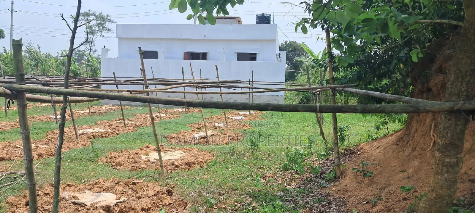 Lowest Budget 3 Katha Plot For Sale At Purbachal in Purbachal