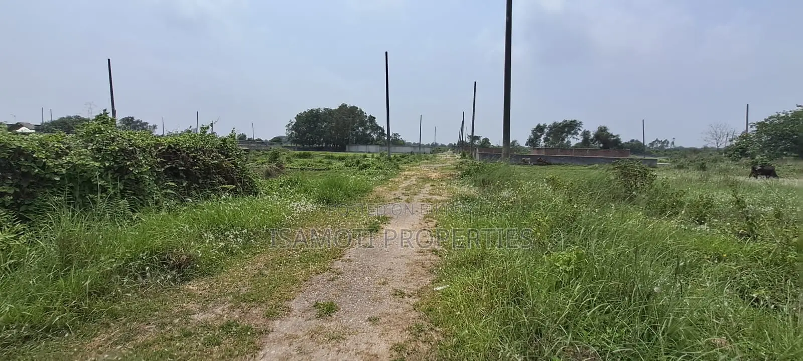 5 katha Plot for Sale at Rajuk Purbachal in Purbachal