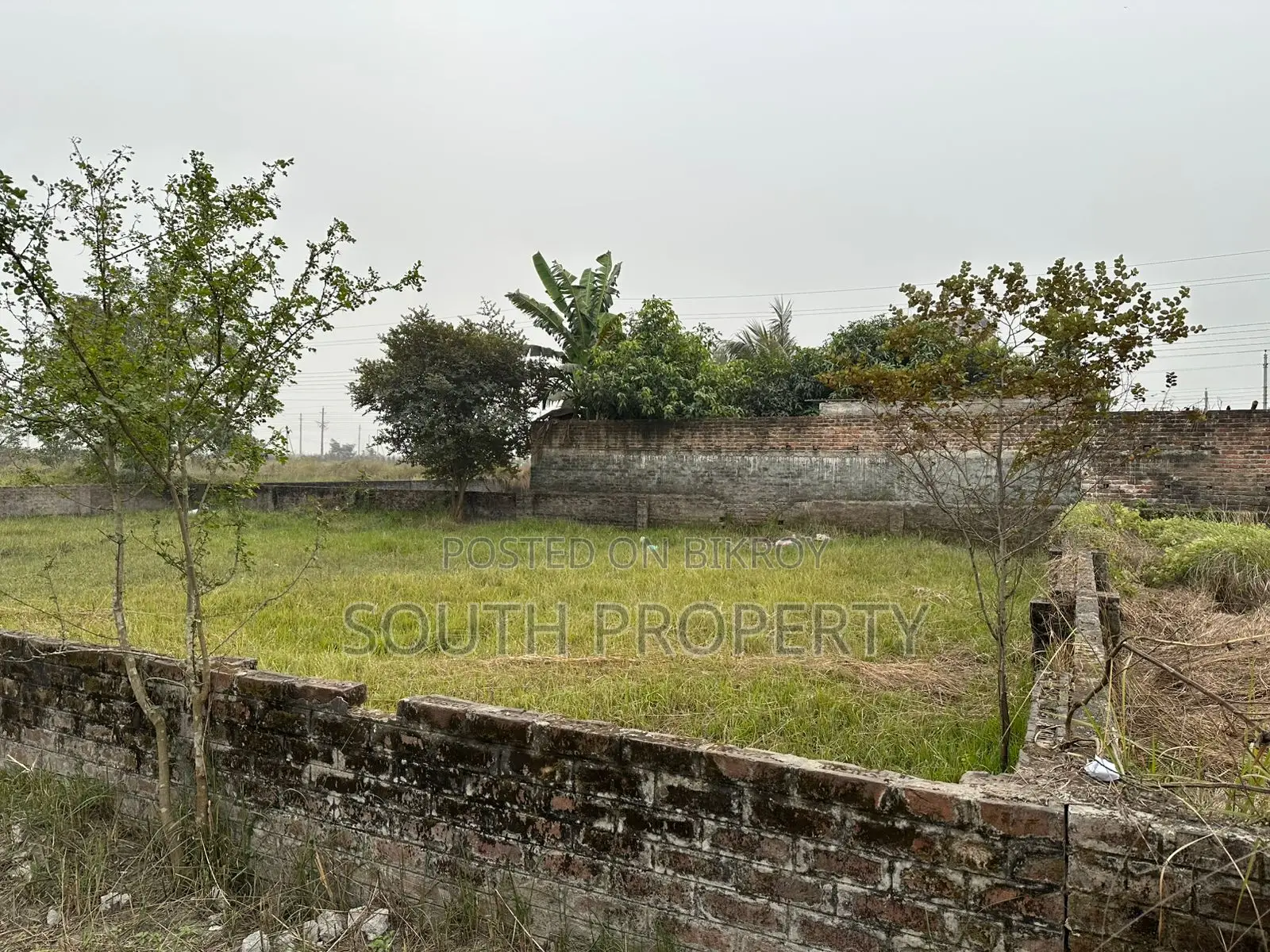 4-Katha South facing plot for sale - Block P, Bashundhara-Baridhara in Basundhara
