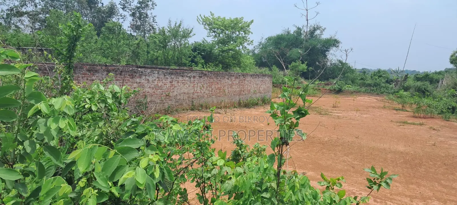 Alloti 3 Katha Plot for Sale at Purbachal in Purbachal