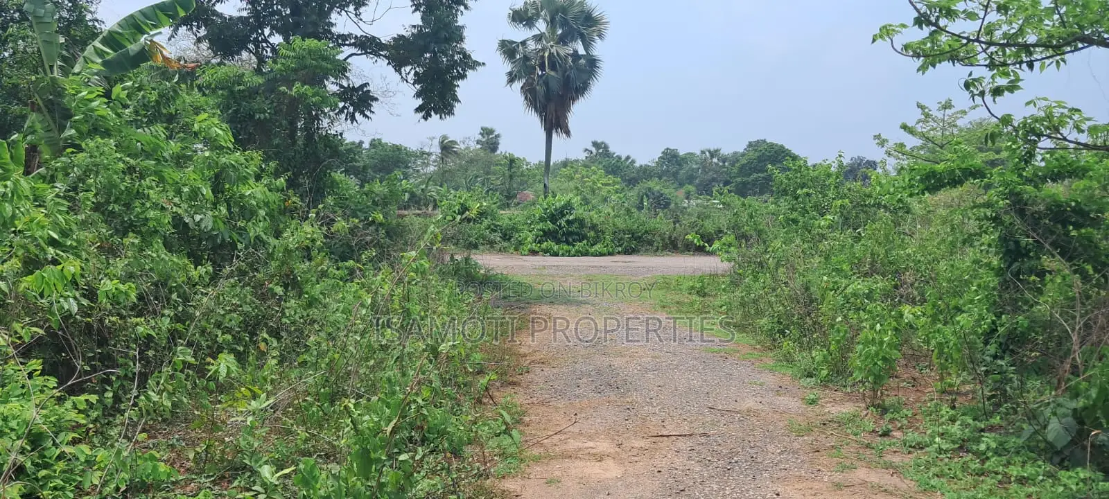 Alloti 3 Katha Plot for Sale at Purbachal in Purbachal