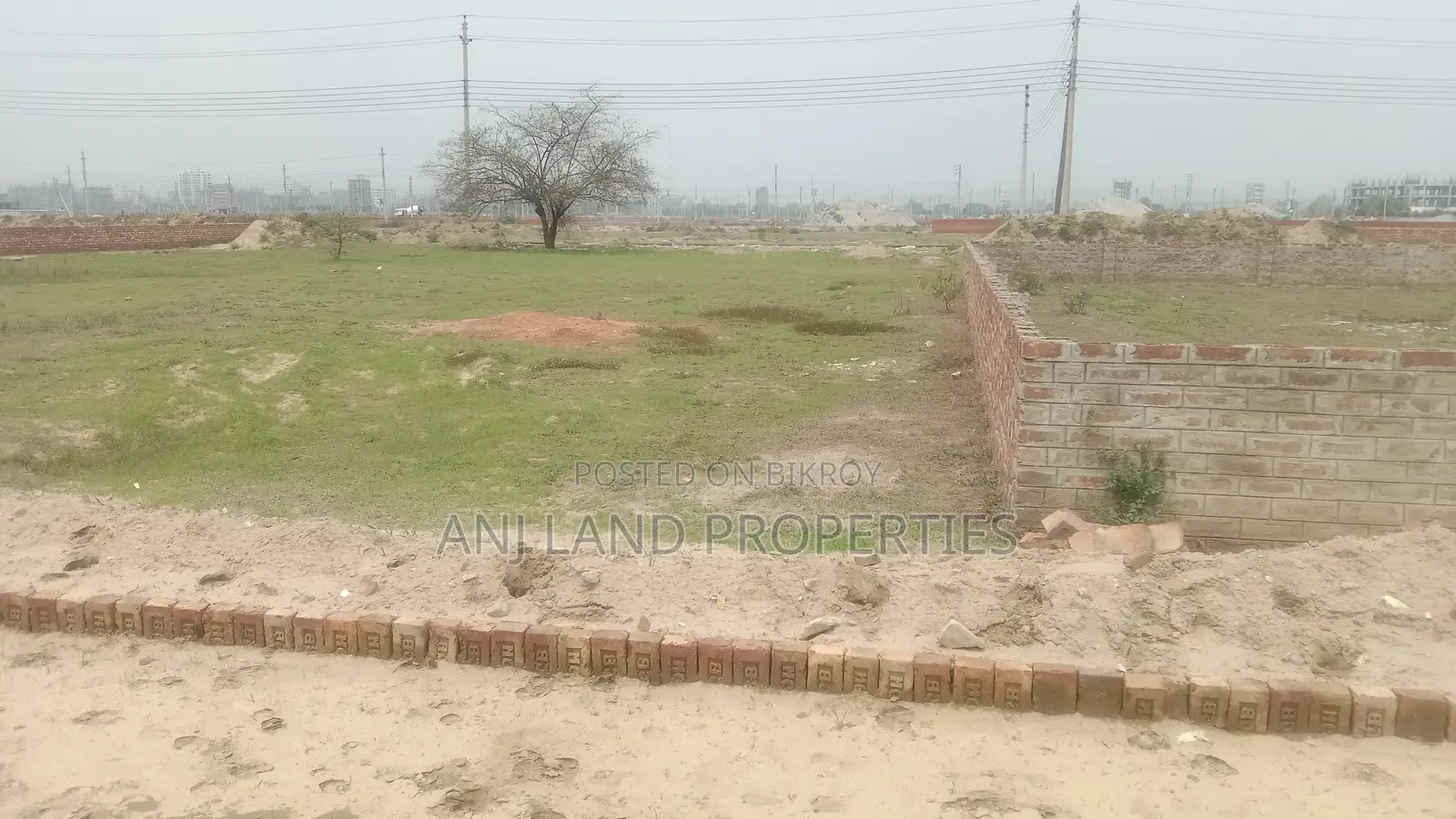 P-Extension 4-Katha 1200 Serial Plot Sale in Basundhara