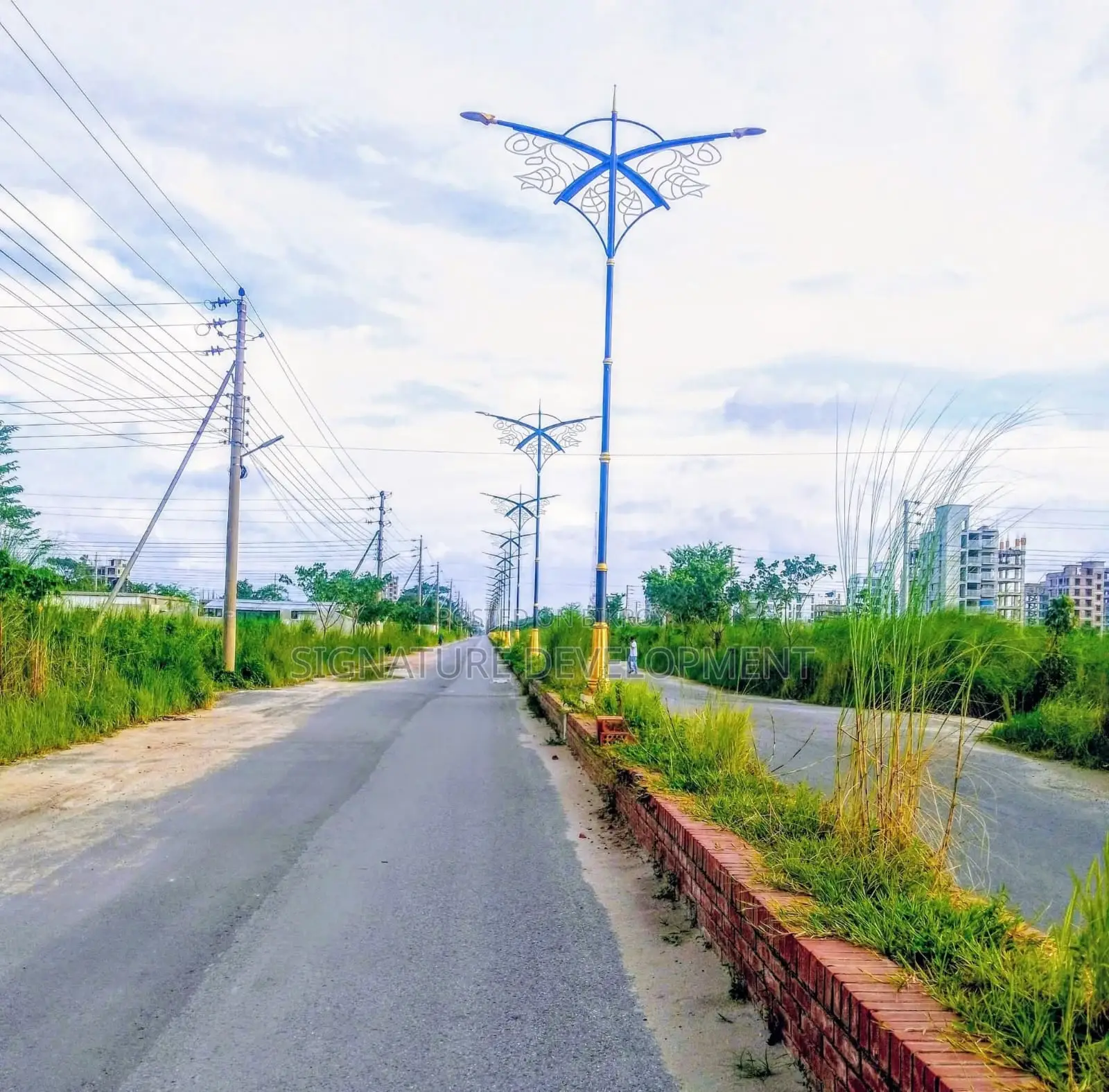 M-Block \ 5 Katha \ Plot for Sale \ Bashundhara R/A in Basundhara