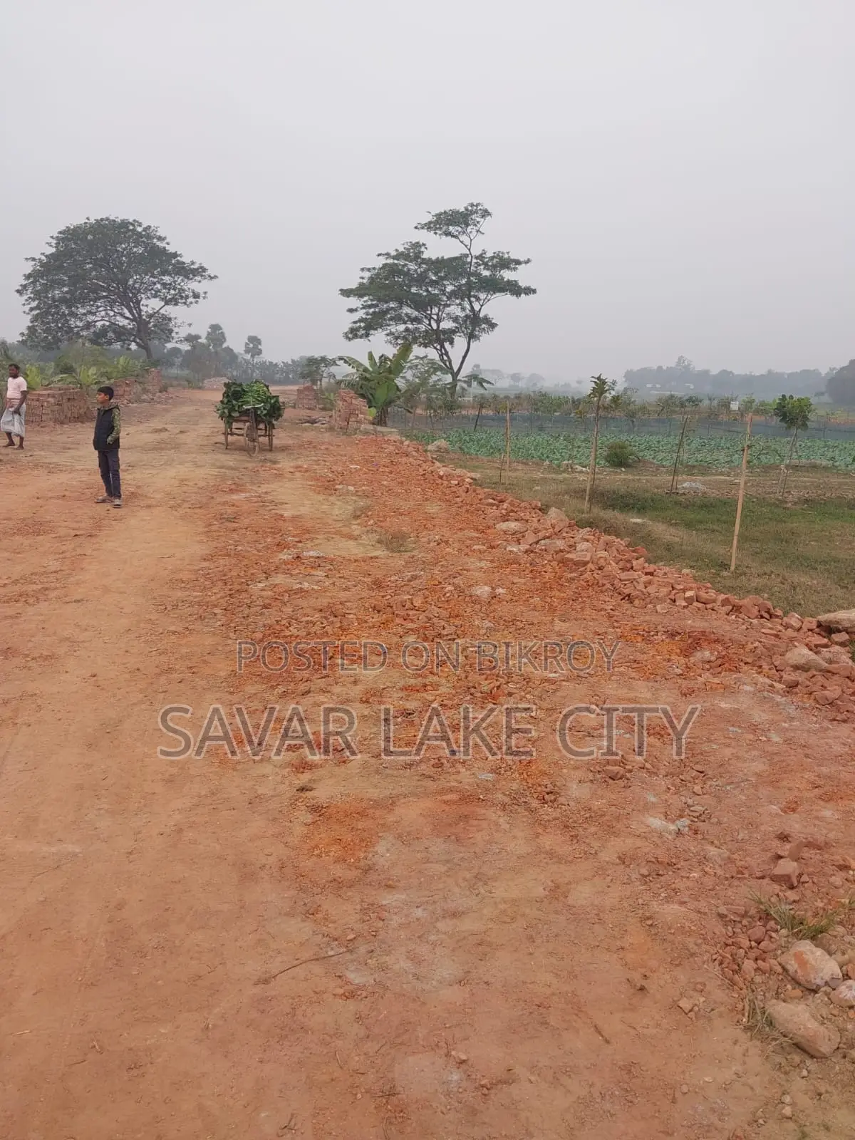 Plot for Sale in Mirpur 14, Dhaka in Savar