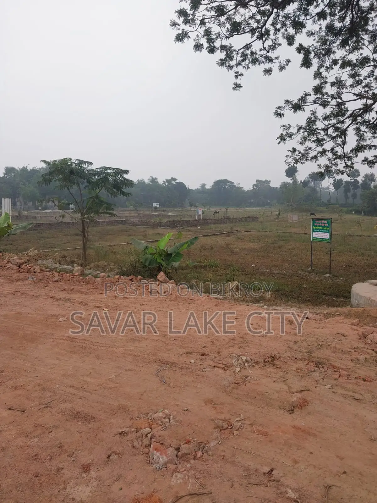 Plot for Sale in Mirpur 14, Dhaka in Savar