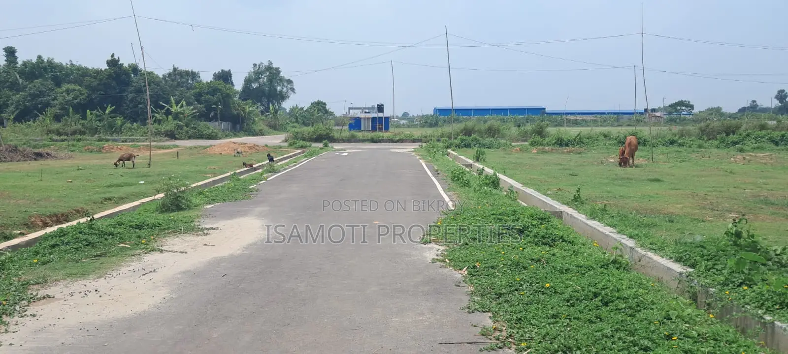 Affordable 3 Katha Plot for Sale in Purbachal in Purbachal