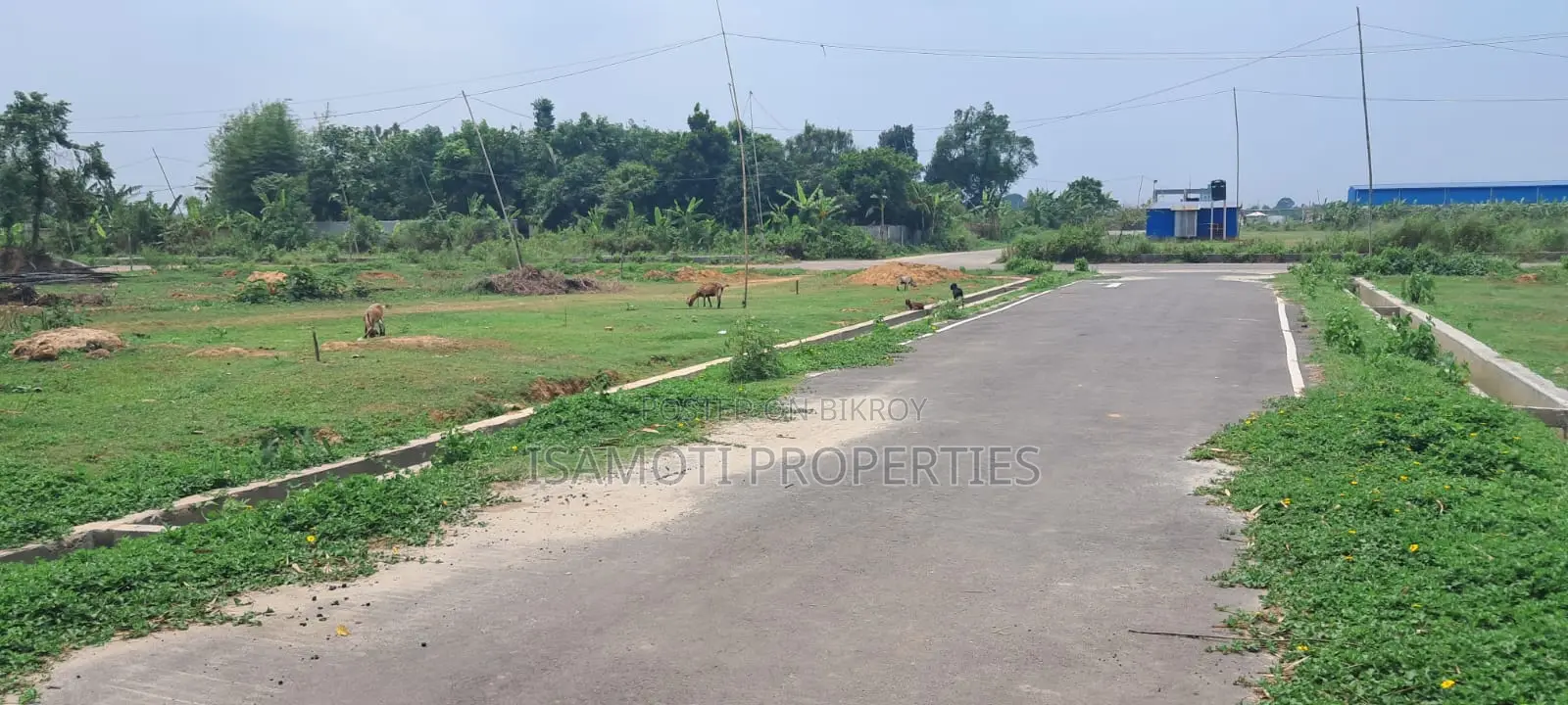 Affordable 3 Katha Plot for Sale in Purbachal in Purbachal