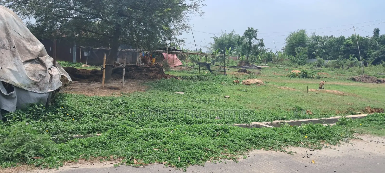 Affordable 3 Katha Plot for Sale in Purbachal in Purbachal