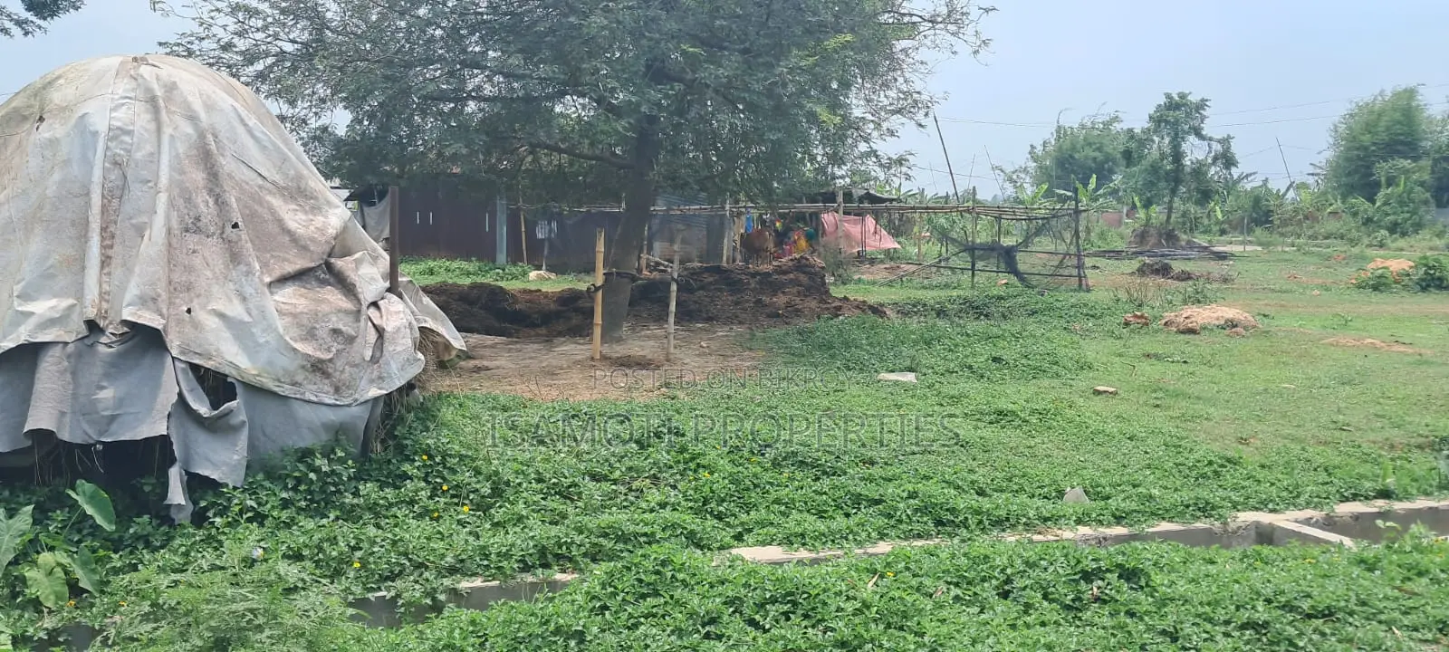 Affordable 3 Katha Plot for Sale in Purbachal in Purbachal