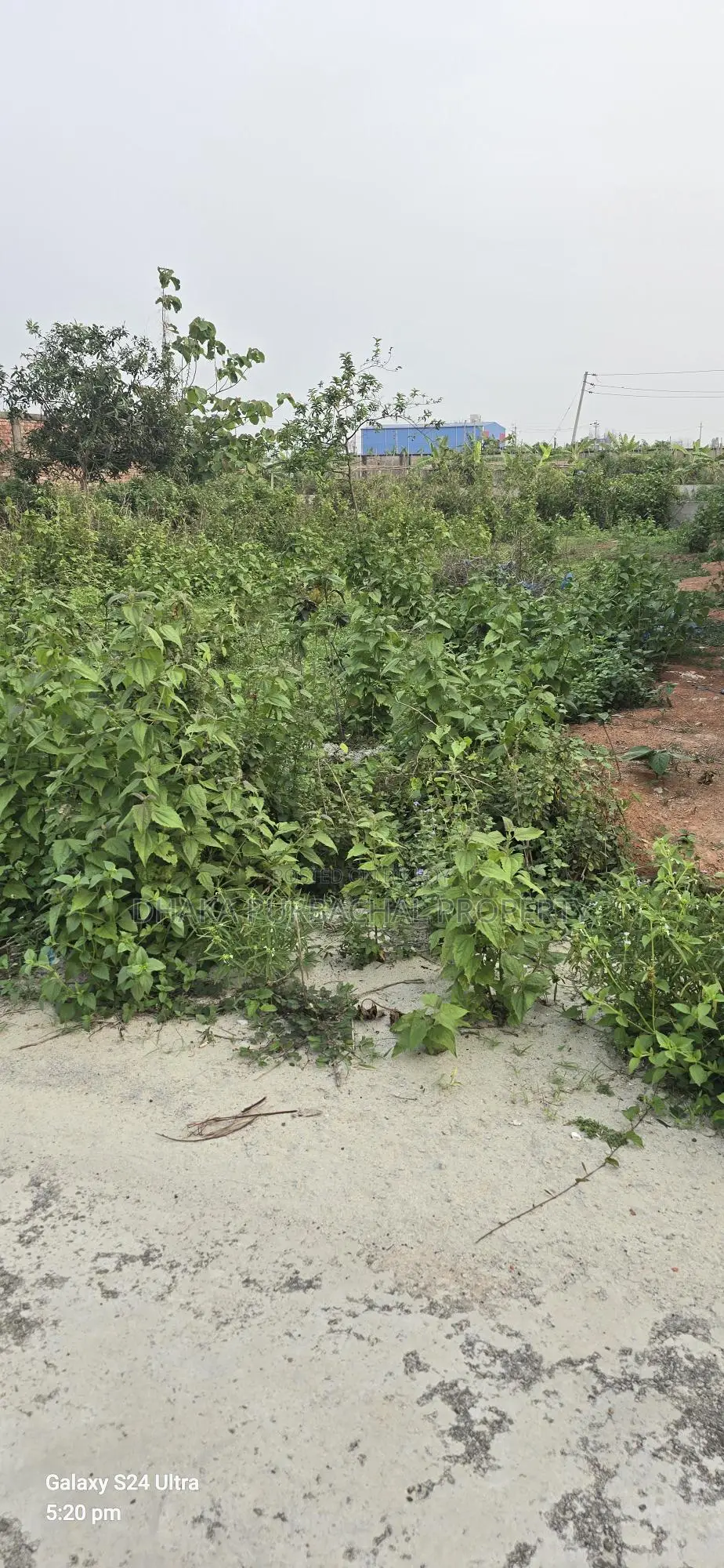 Sector -24 Purbachal Allotted Plot Sell in Purbachal