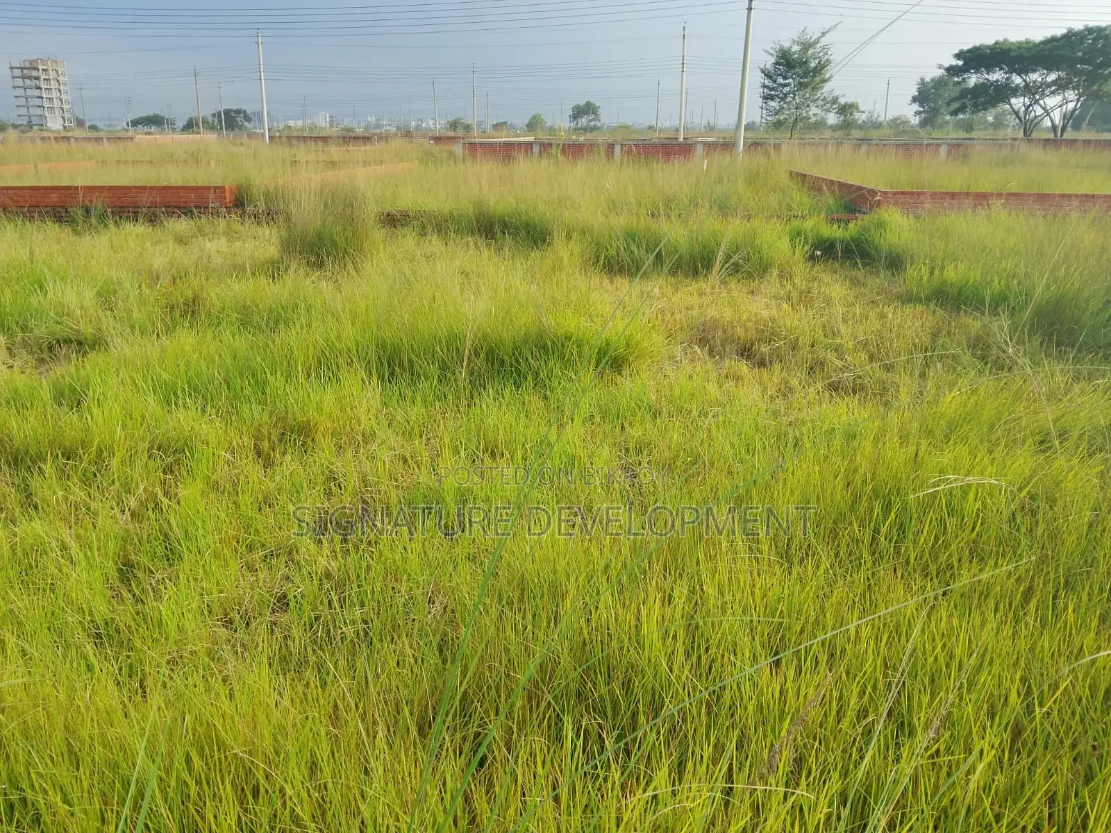 N-block||5 Katha||near Of Sports Complex In Bashundhara R/a in Basundhara