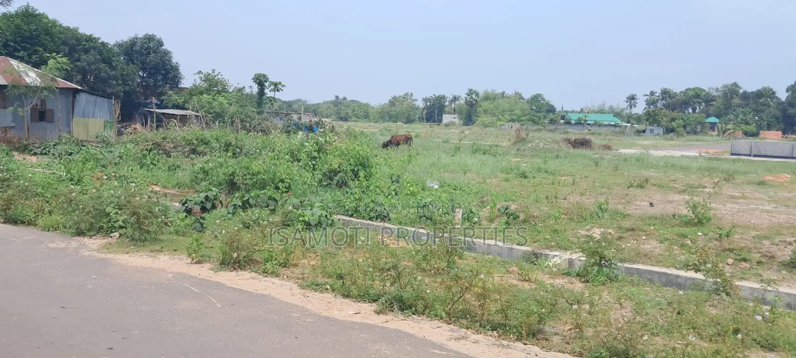 3 Katha Plot for Sale in Sector 15, Facing South with 75ft Road in Purbachal