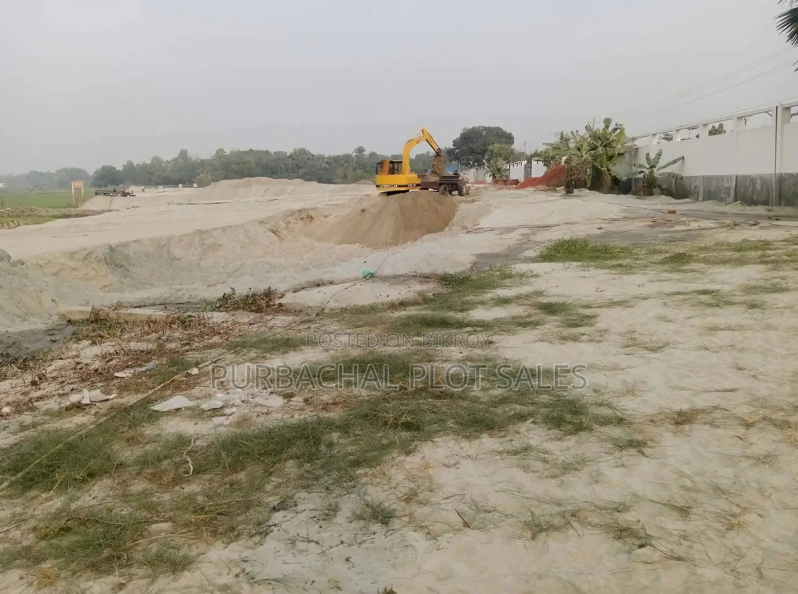 Invest in Pine City in Purbachal