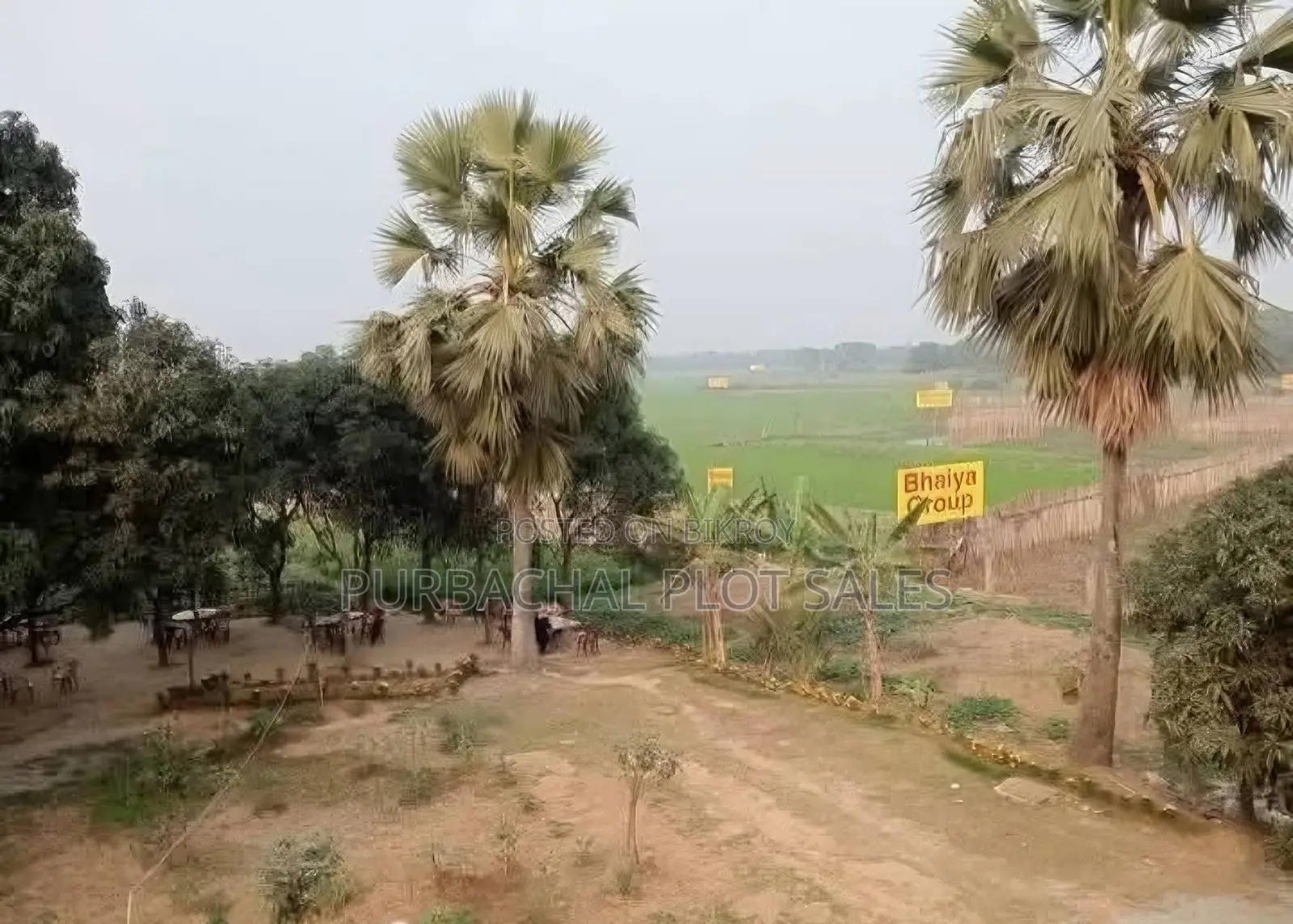 Invest in Pine City in Purbachal