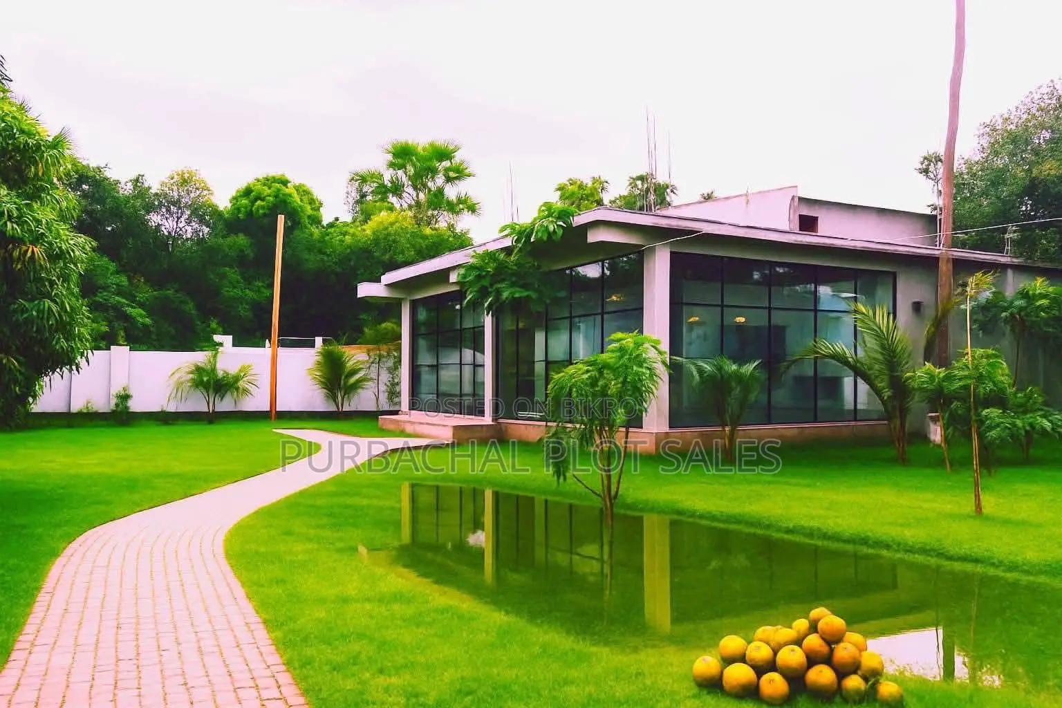 Invest in Pine City in Purbachal