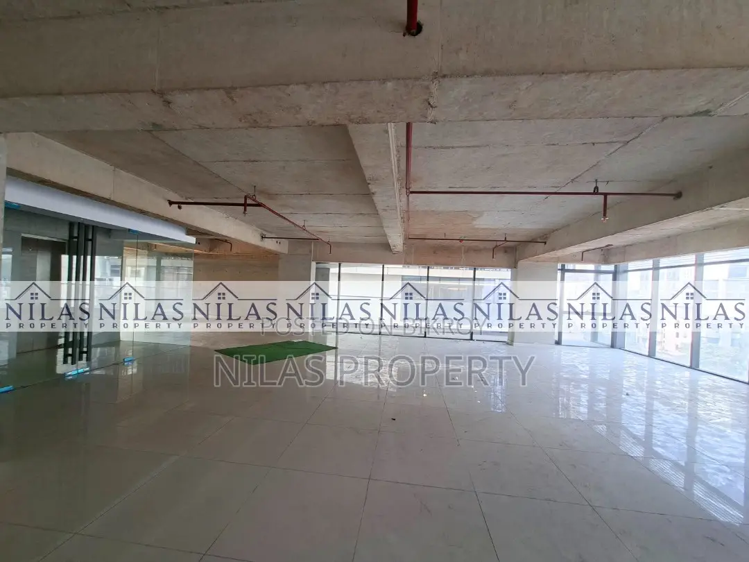 Modern Space with Terrace Ready for Rent in Dhanmondi in Dhanmondi