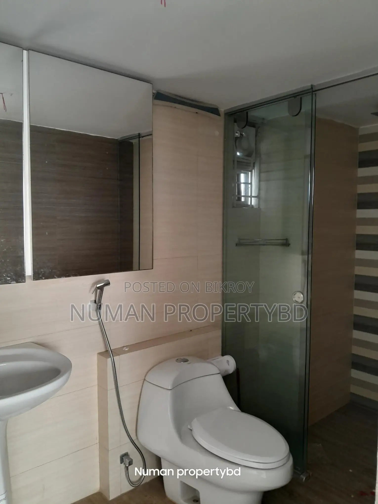4300sq Semi Furnished Duplex 5-bedroom Flat Rent in Basundhara