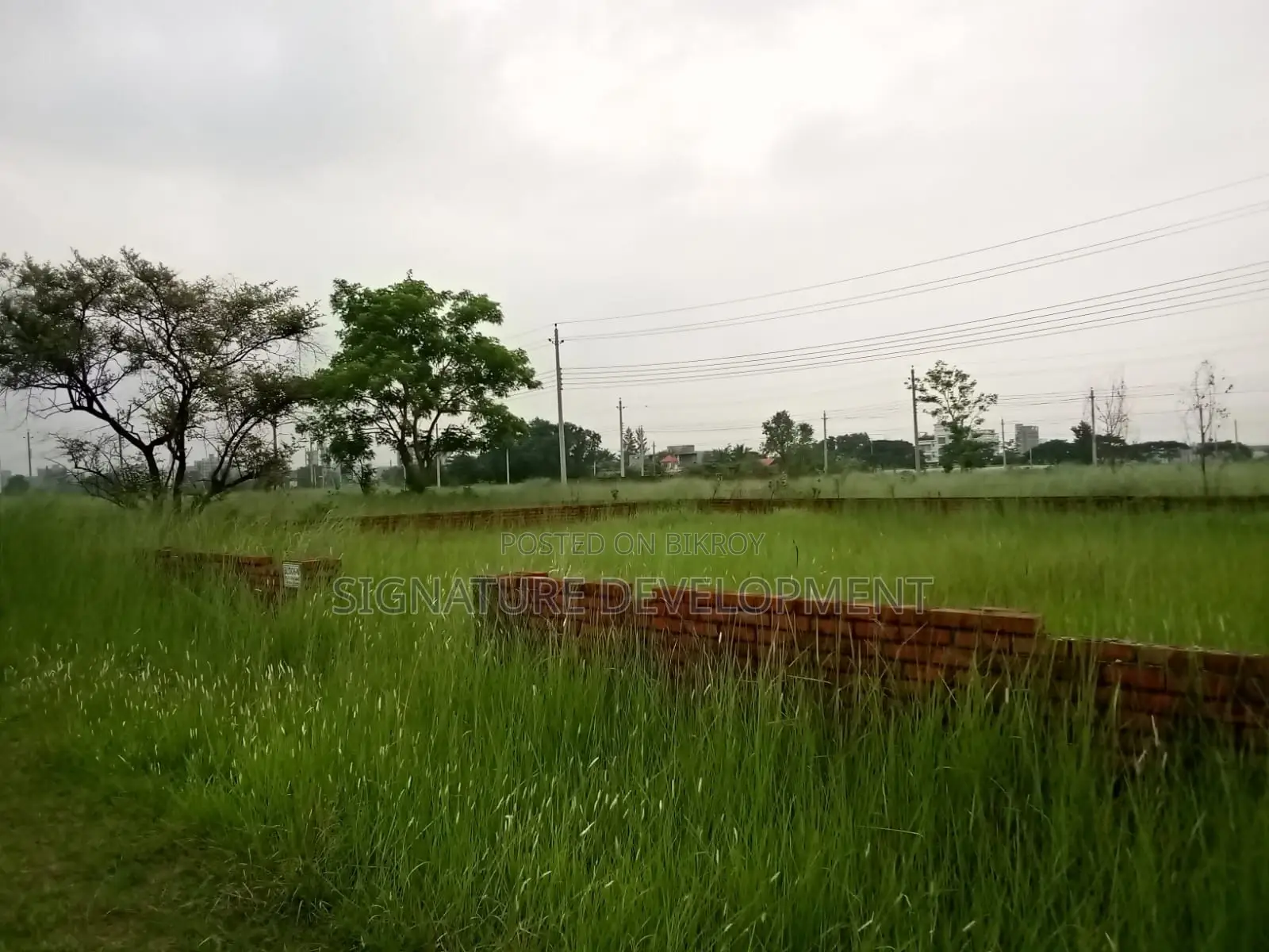 N-Block // 5 Katha // Near Sports Complex // Plot for Sale.. Bashundhara R/A. in Basundhara