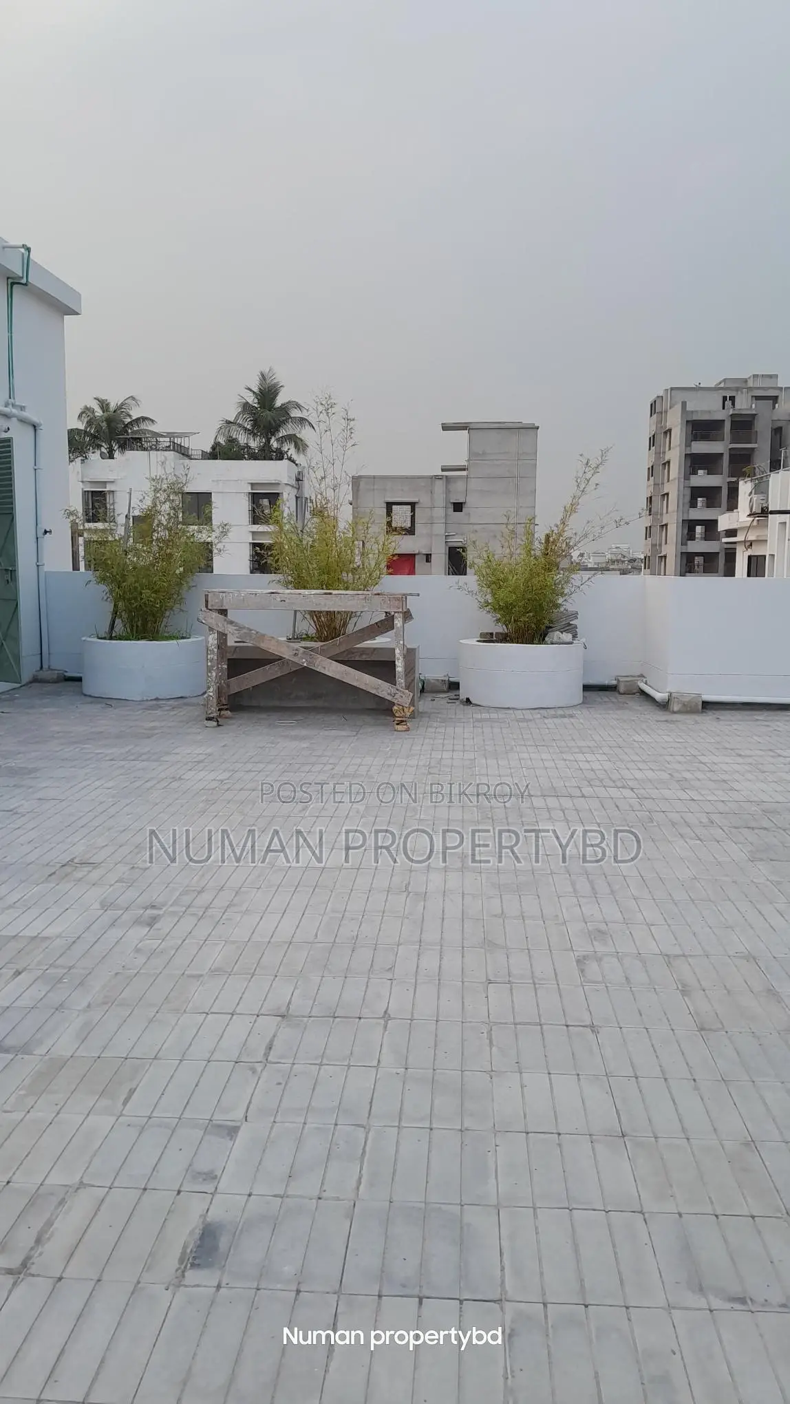 2400 sq ft 3 bedroom new luxurious semi-furnished flat for rent in Basundhara