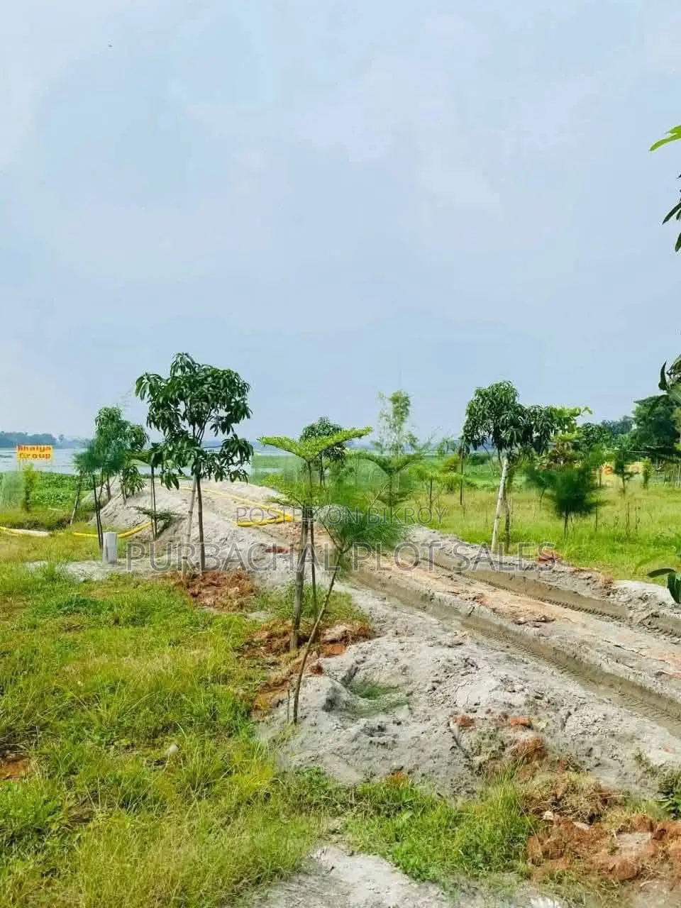 Brother, Buy Land in Housing in Purbachal