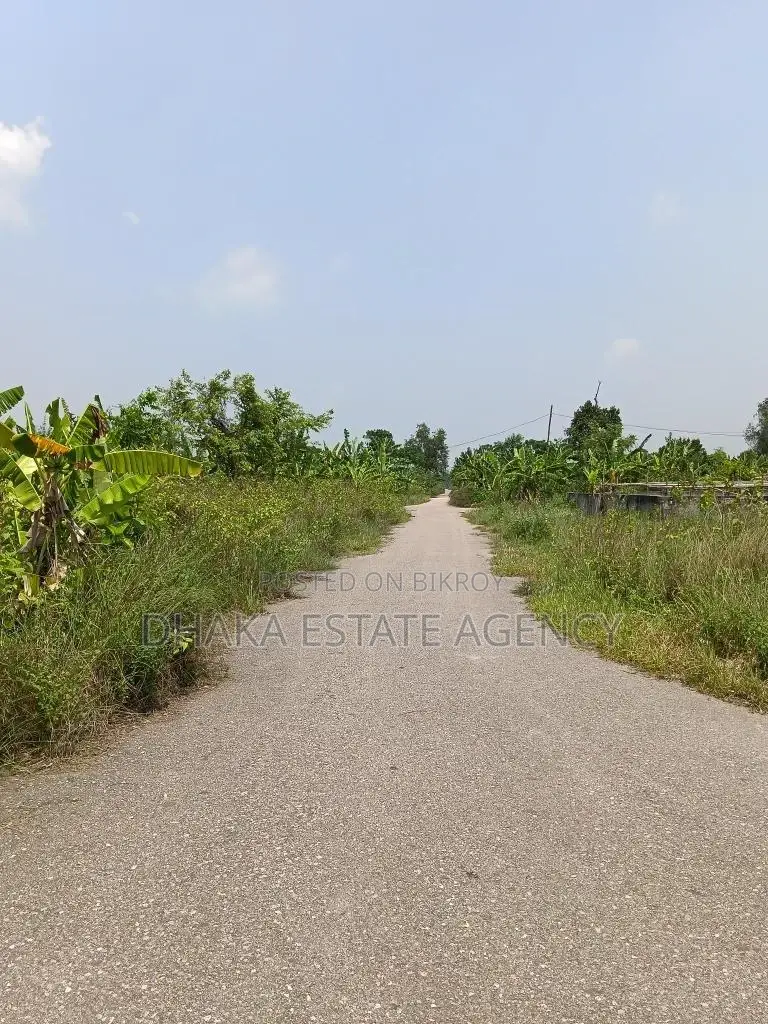 Block-N, For those who love the South-facing lake view in Basundhara
