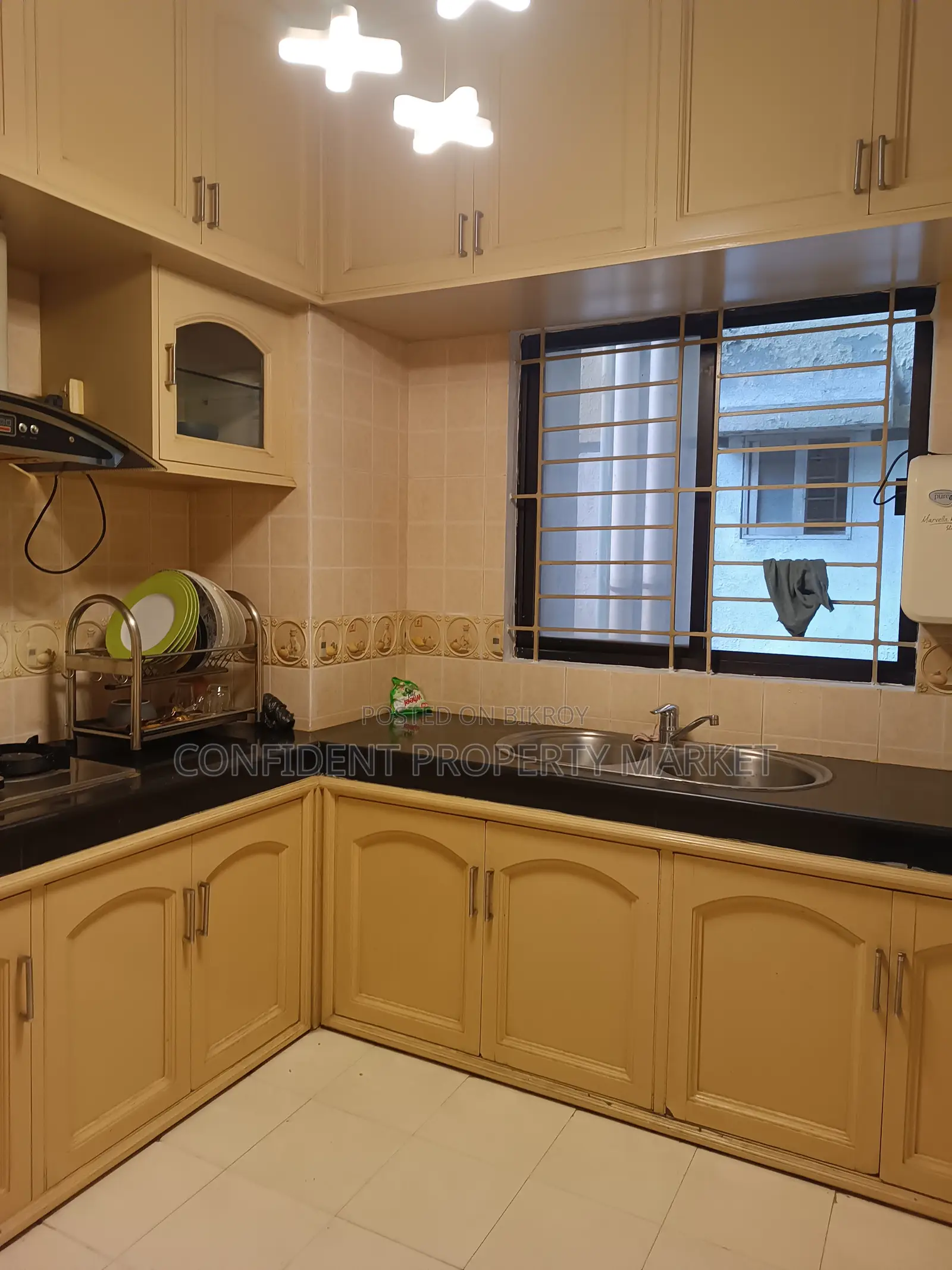Furnished Apartment For Rent In Baridhara in Baridhara