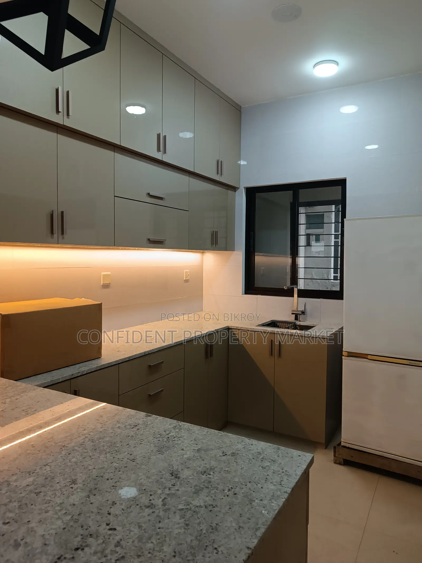 Furnished Apartments Rent In Baridhara in Baridhara