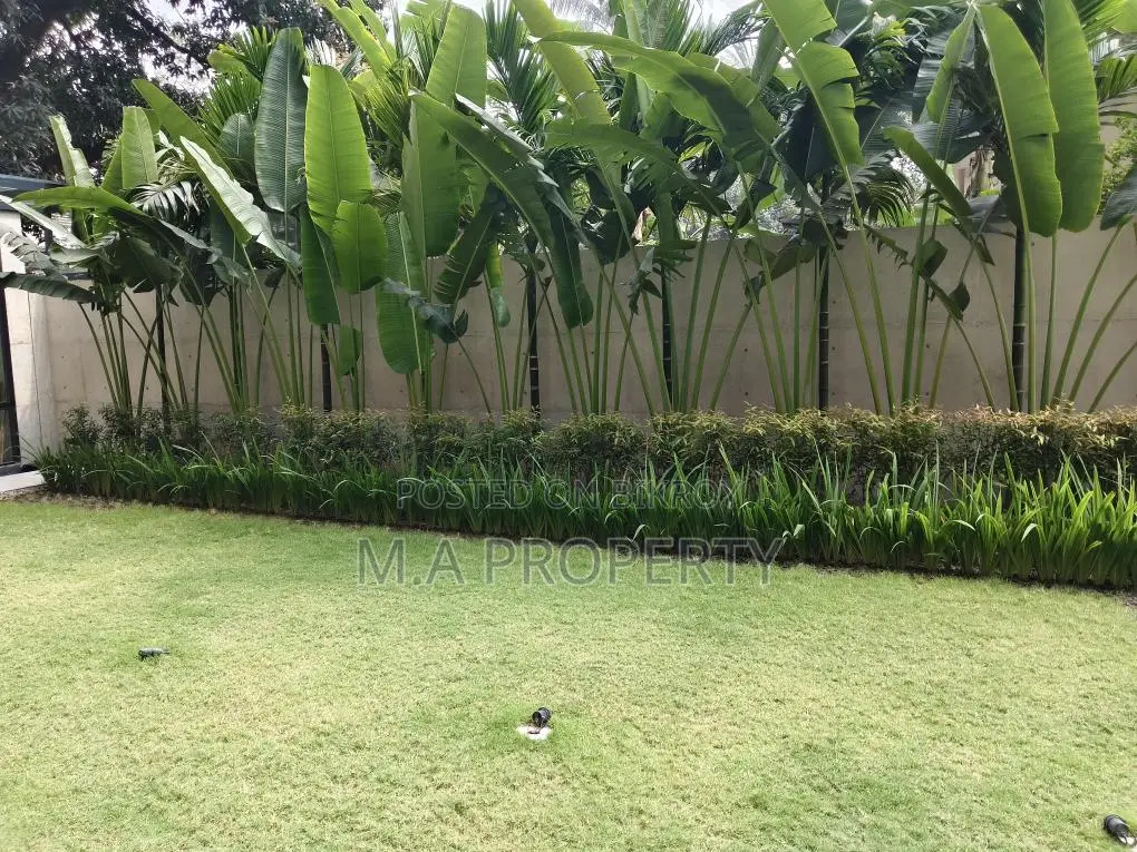 Rent Apartment 5250sqft 2-Carpark Gulshan North in Gulshan