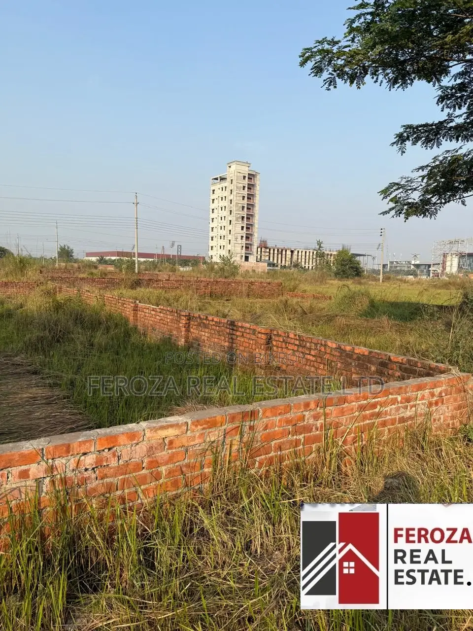 40'/25' Corner Plot with Boundary Wall - 3 Katha Urgent Sale in Basundhara