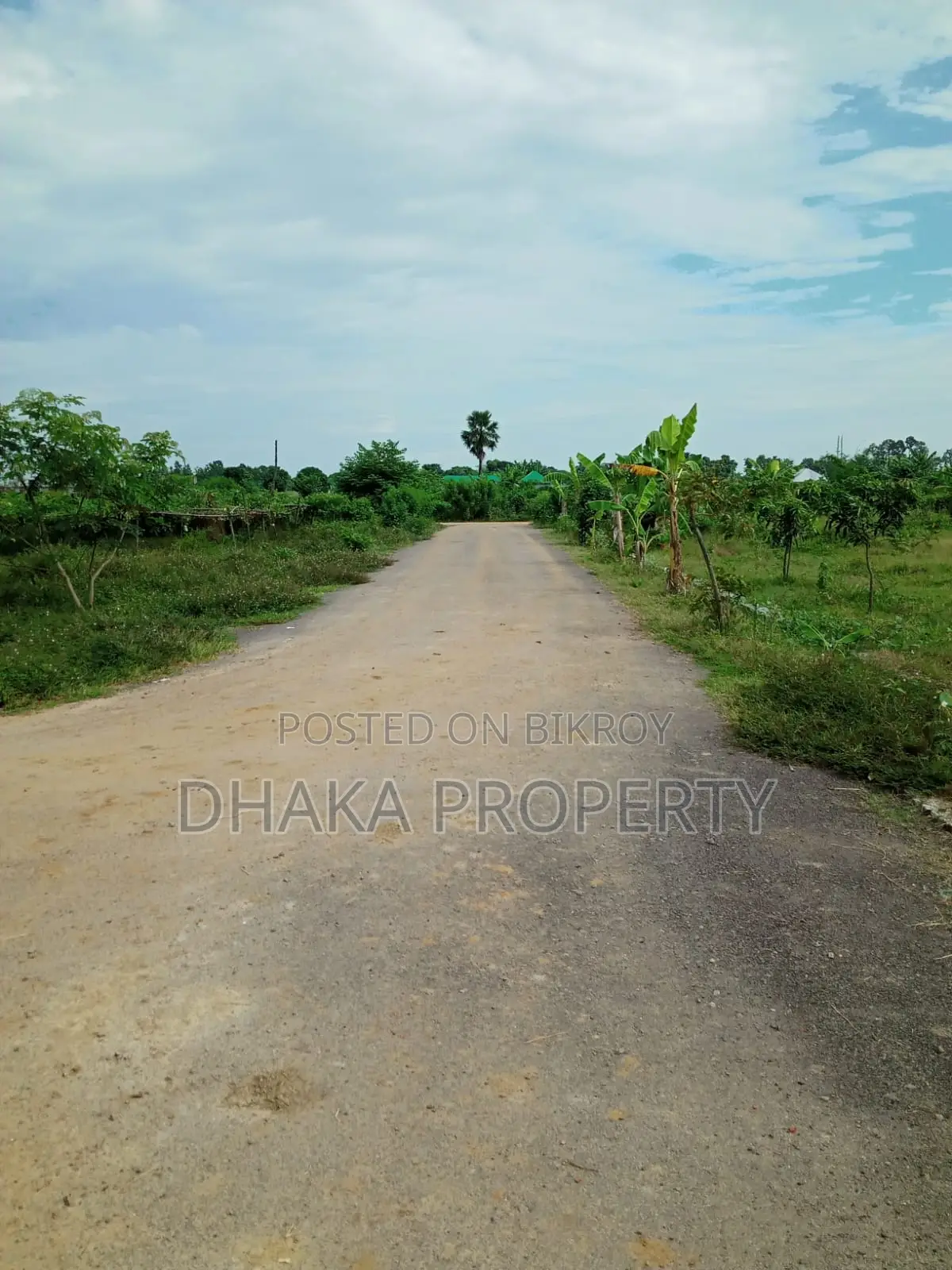 30ft Rd 3 Katha Forest North At Sector-24 in Purbachal