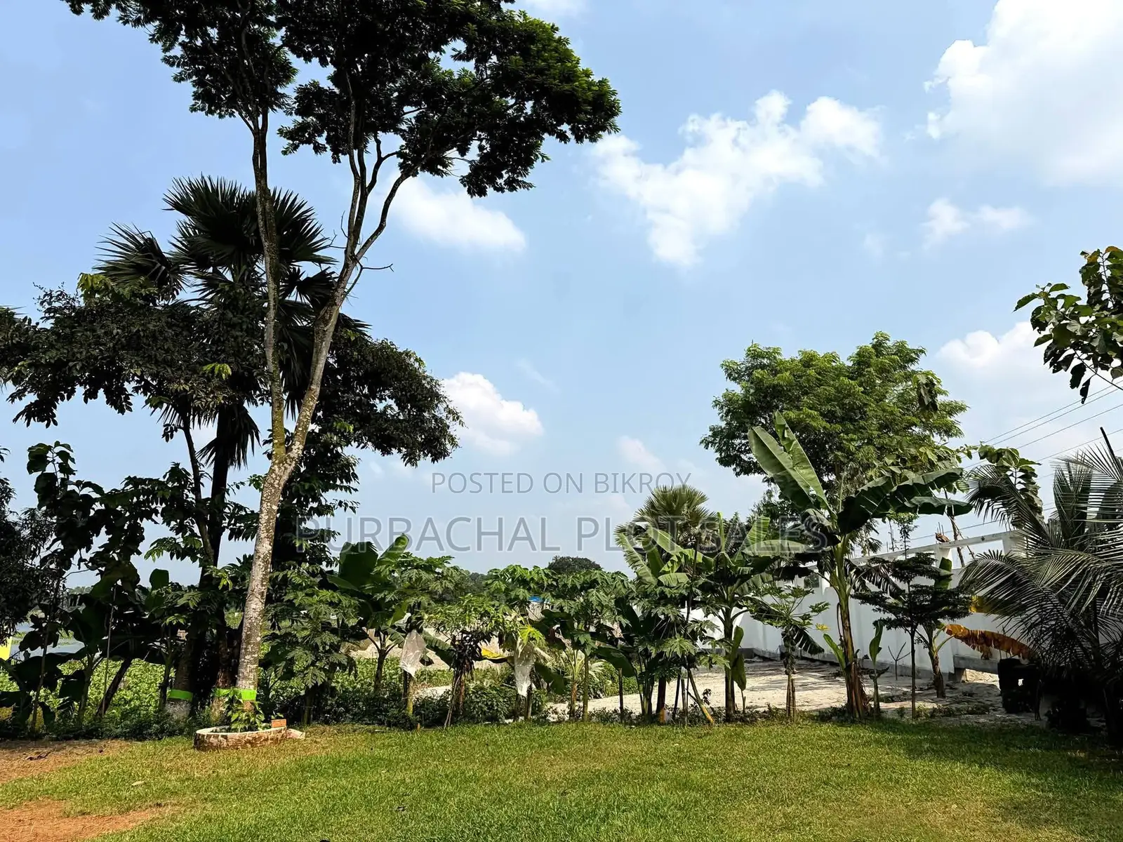 Invest in Purbachal Pine City in Purbachal