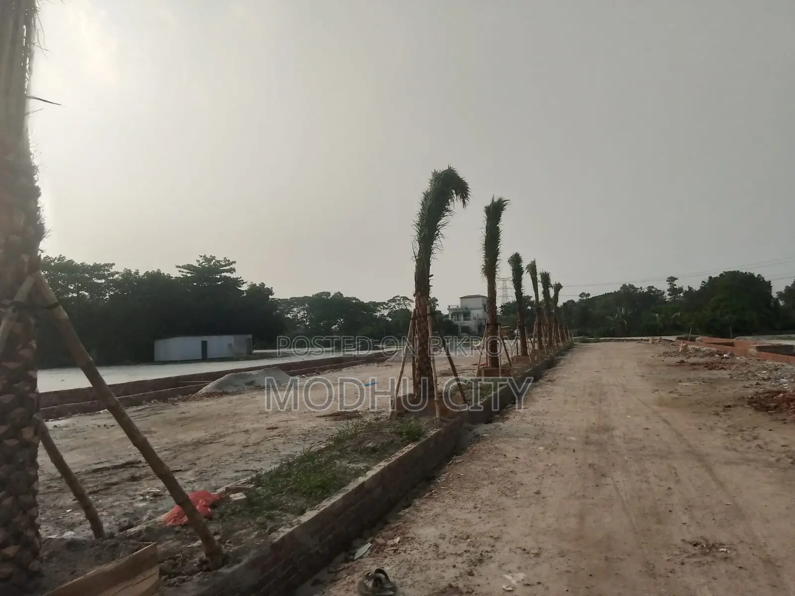 Plot near Mohammadpur in Mohammadpur