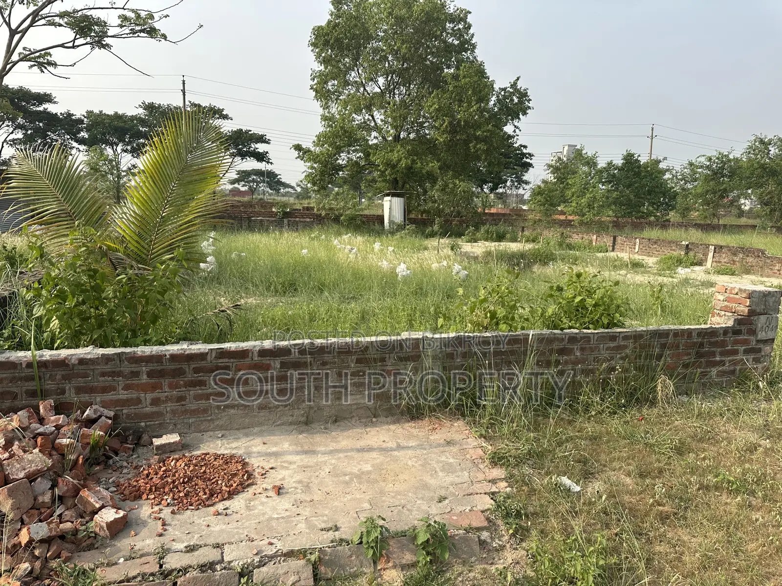 N Block 3 Katha South Face Plot at Basundhara in Basundhara