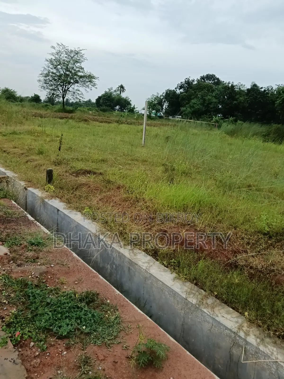 30ft Rd 3 Katha Forest North at Sector-24 in Purbachal