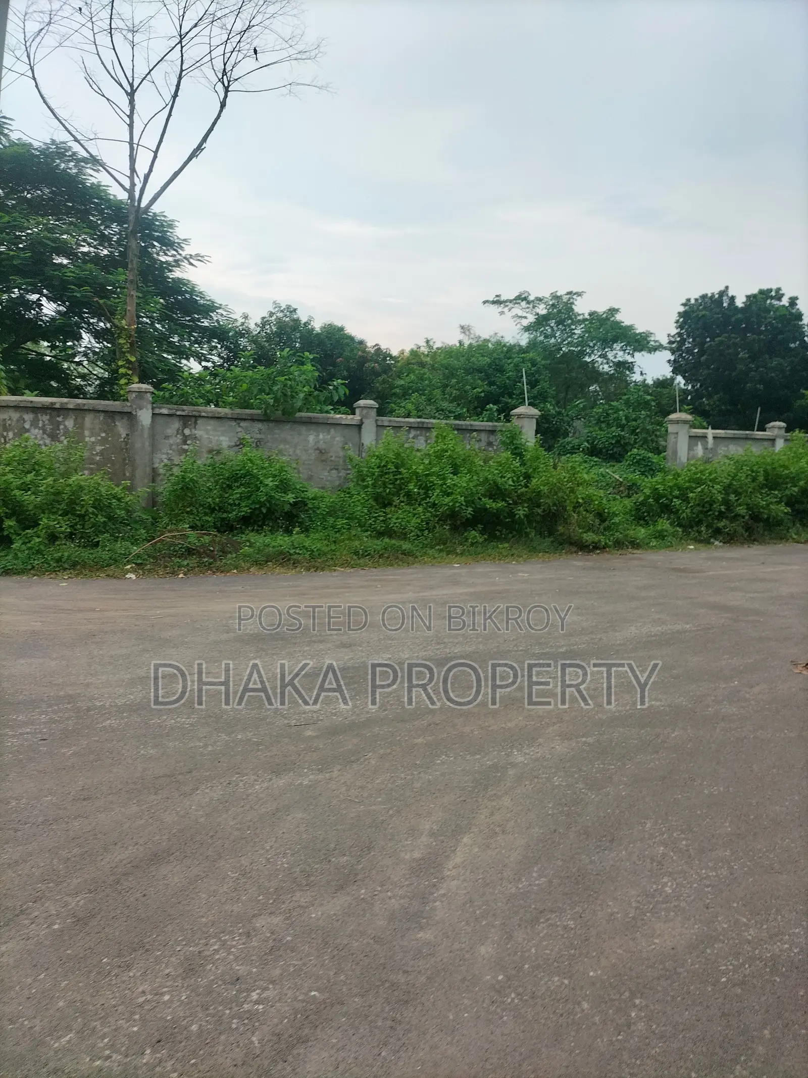 75ft Rd 6.25 Katha South at Sector- 3 in Purbachal
