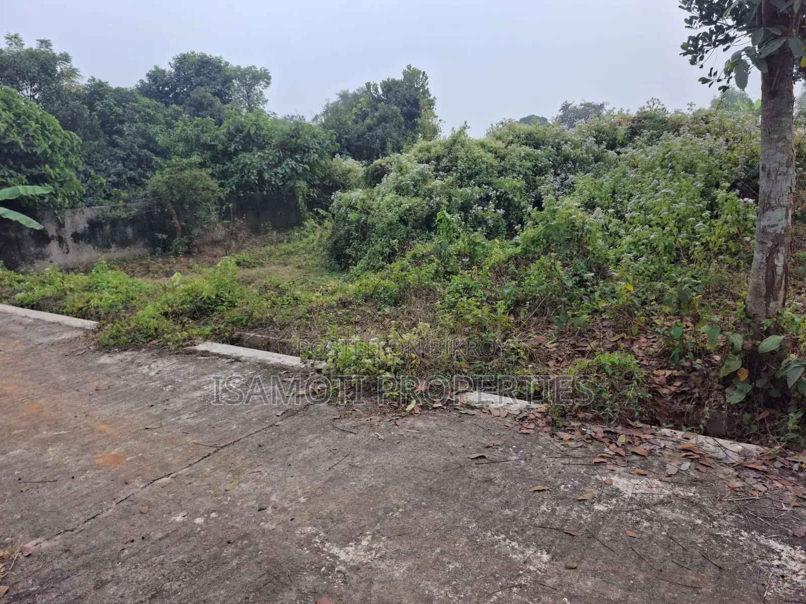 Affordable 5 katha Plot Sale at Purbachal in Purbachal