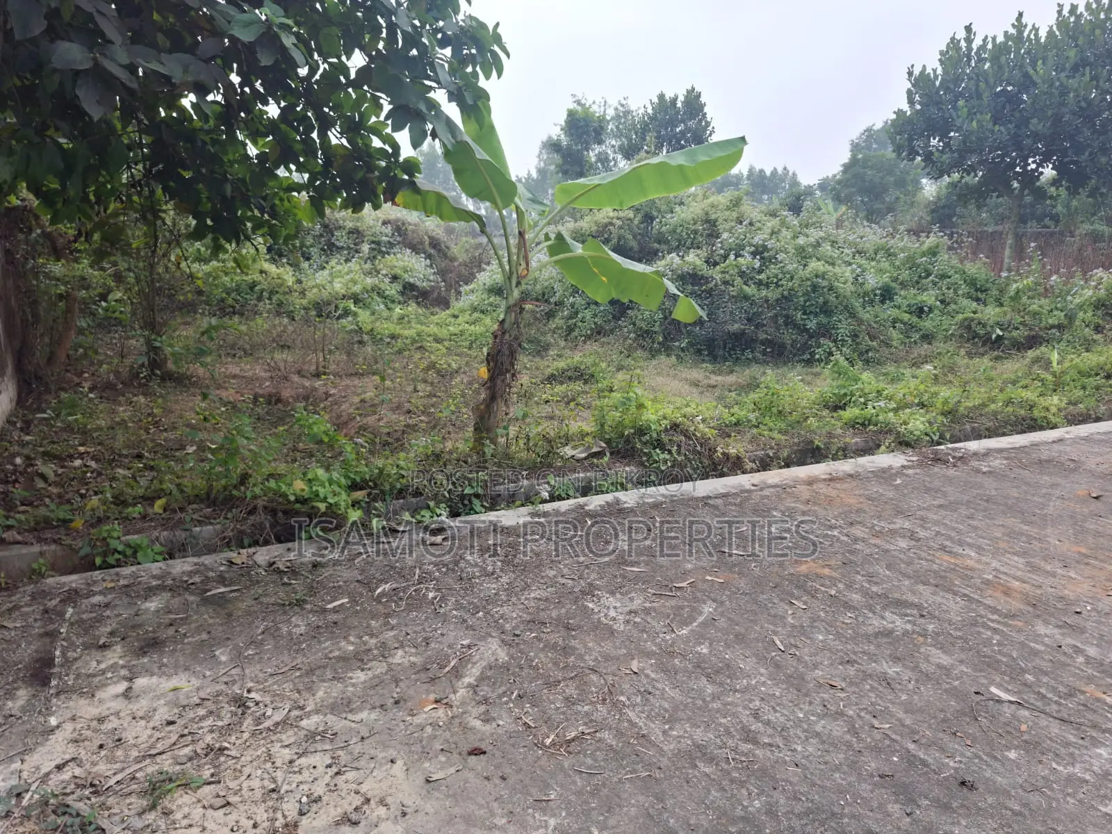 Affordable 5 katha Plot Sale at Purbachal in Purbachal