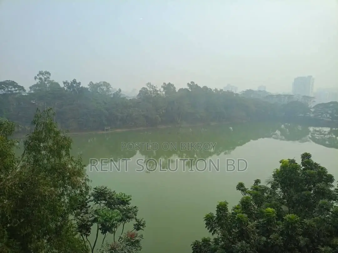 Lakeside Semi Furnished Gym Swimming Pool Flat Rent in Gulshan North in Gulshan