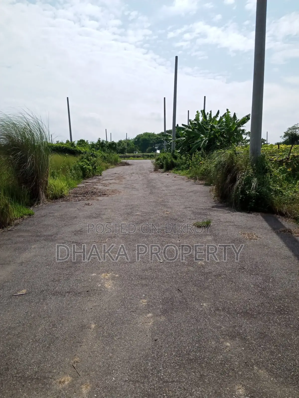 Front Open 3 Katha Park North At Sector-24 in Purbachal